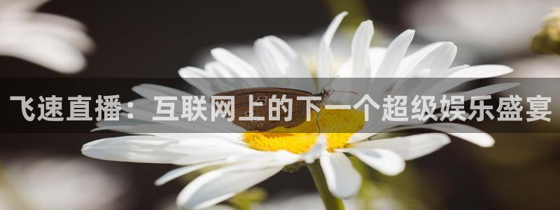 中超龙门直播
