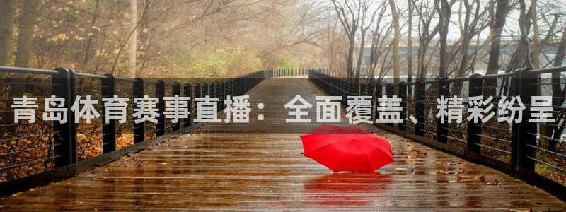 龙门直播app