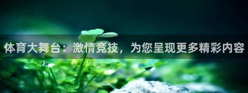 龙门直播下载：体育大舞台：激情竞技，为您呈现更多精彩内容