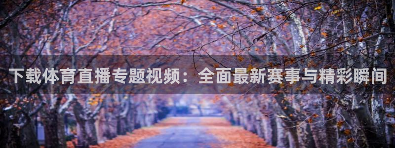 nba龙门直播在线观看免费