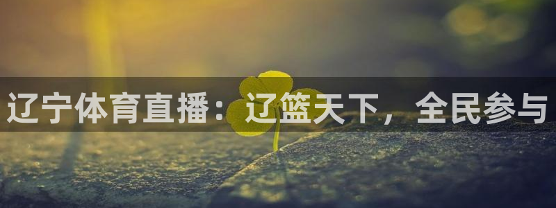 龙门直播nba免费直播在线观看