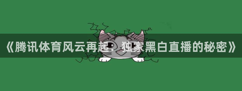 龙门直播在线直播