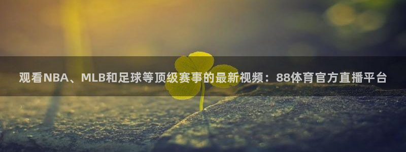 龙门直播间