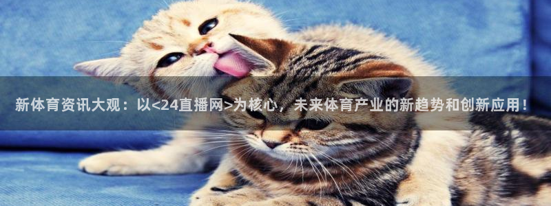 龙门直播在线观看nba
