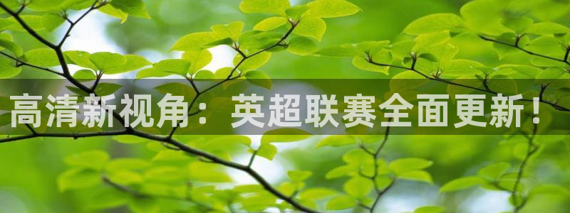 龙门直播间