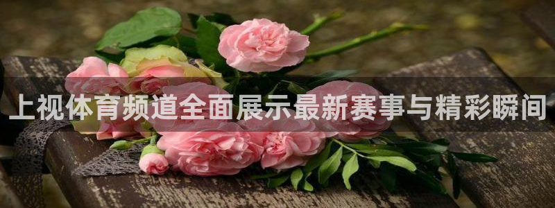 龙门直播app足球直播