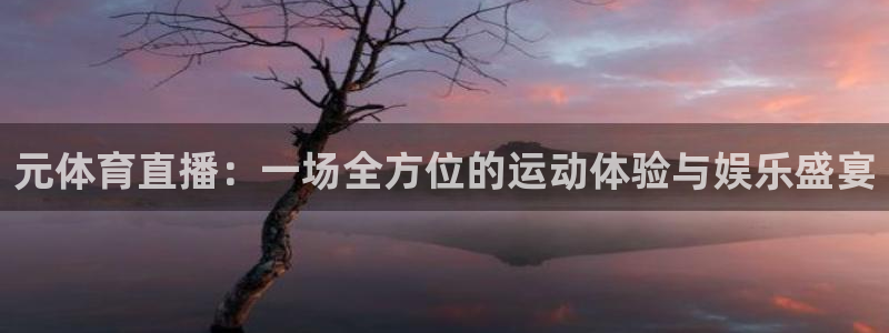 龙门直播免费体育直播在线观看