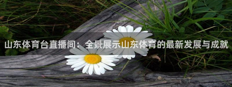 龙门直播间在线观看：山东体育台直播间：全景展示山东体育的最新发展与成就