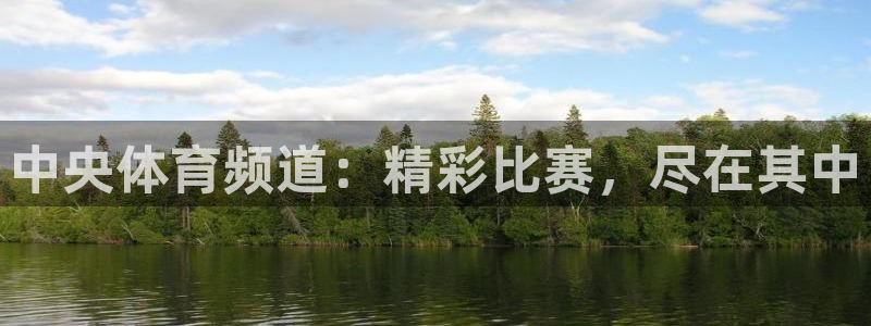 龙门直播间在线观看：中央体育频道：精彩比赛，尽在其中