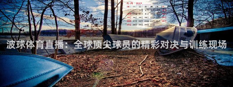 龙门直播app体育：波球体育直播：全球顶尖球员的精彩对决与训练现场